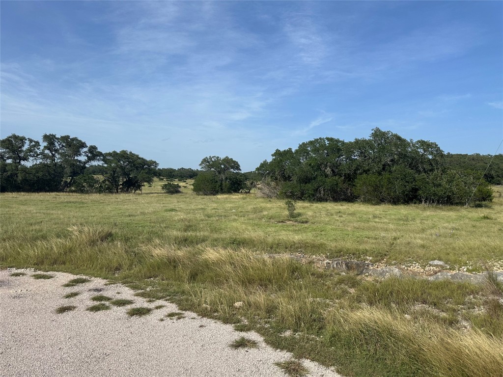 110 West Alex Jordan Blanco, TX 78606 - Photo 9 of 22