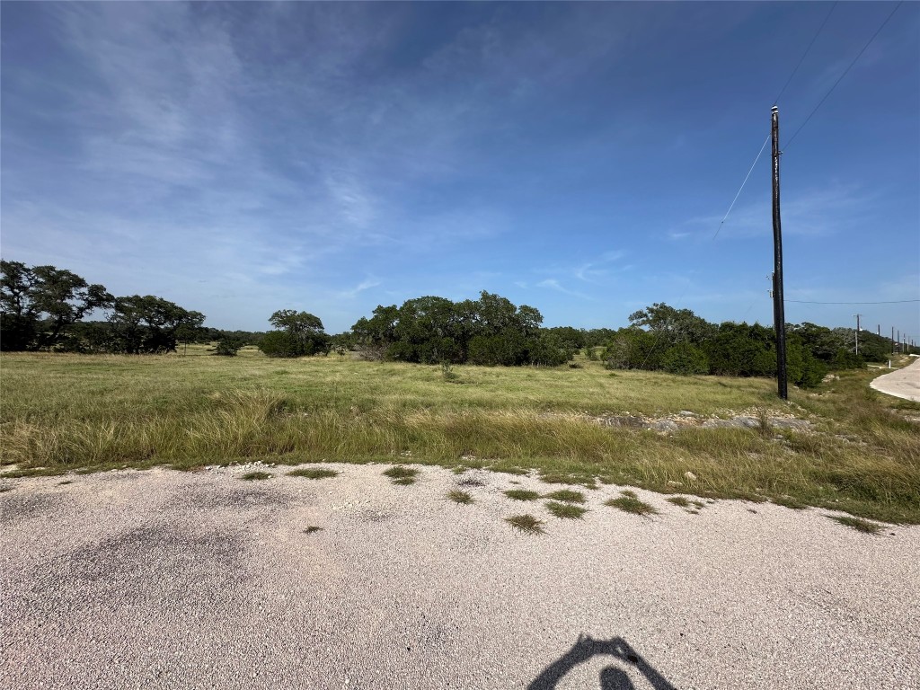 110 West Alex Jordan Blanco, TX 78606 - Photo 10 of 22