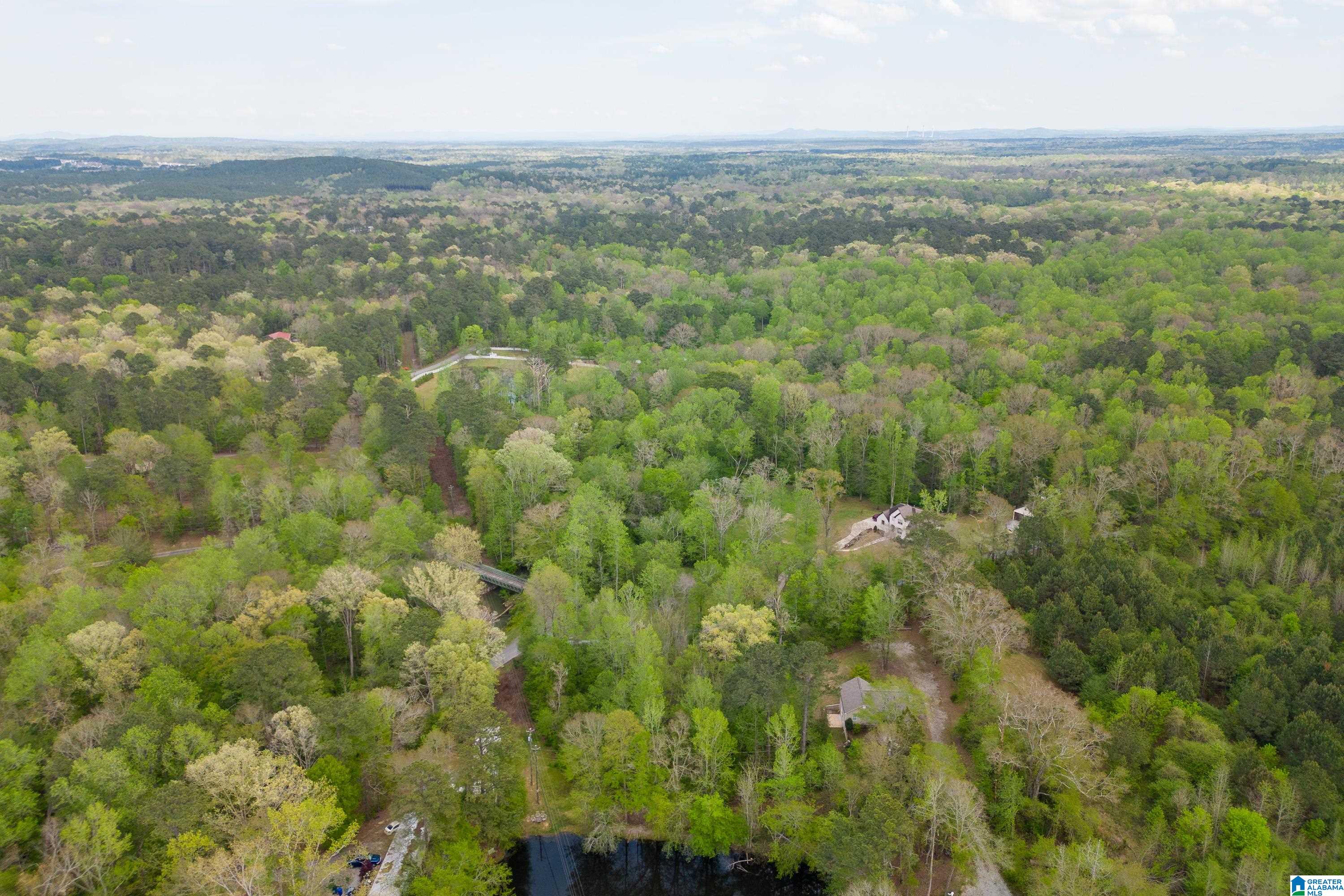 10472 Chelsea Road Chelsea, AL 35043 - Photo 38 of 43