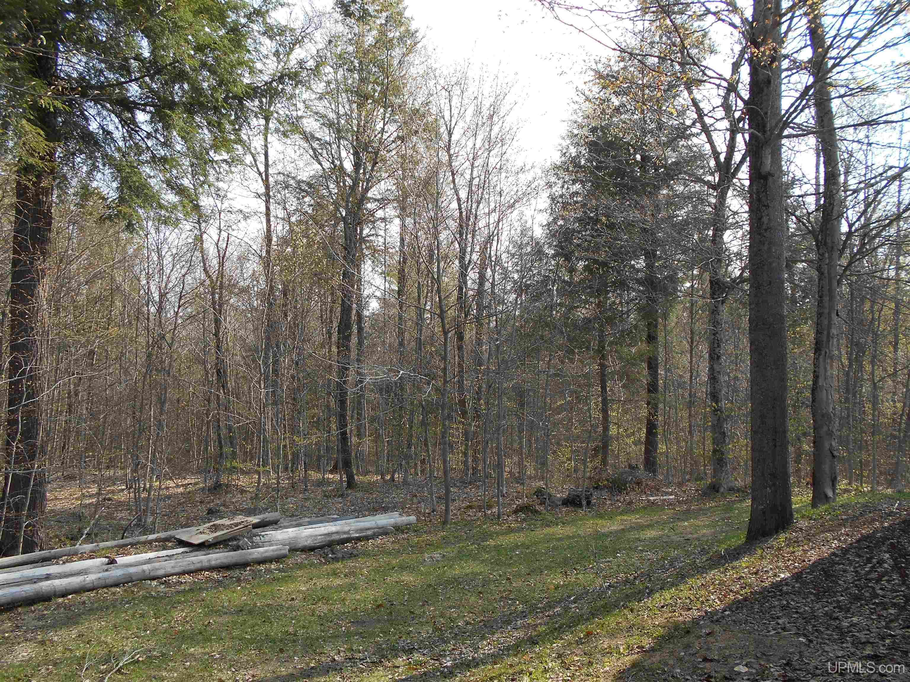 6345 South Northrough Road Wetmore, MI 49895 - Photo 62 of 67