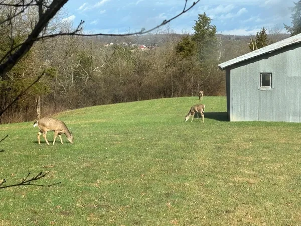 $585,000 | 19685 Collier Lane, Guilford, IN 47022
