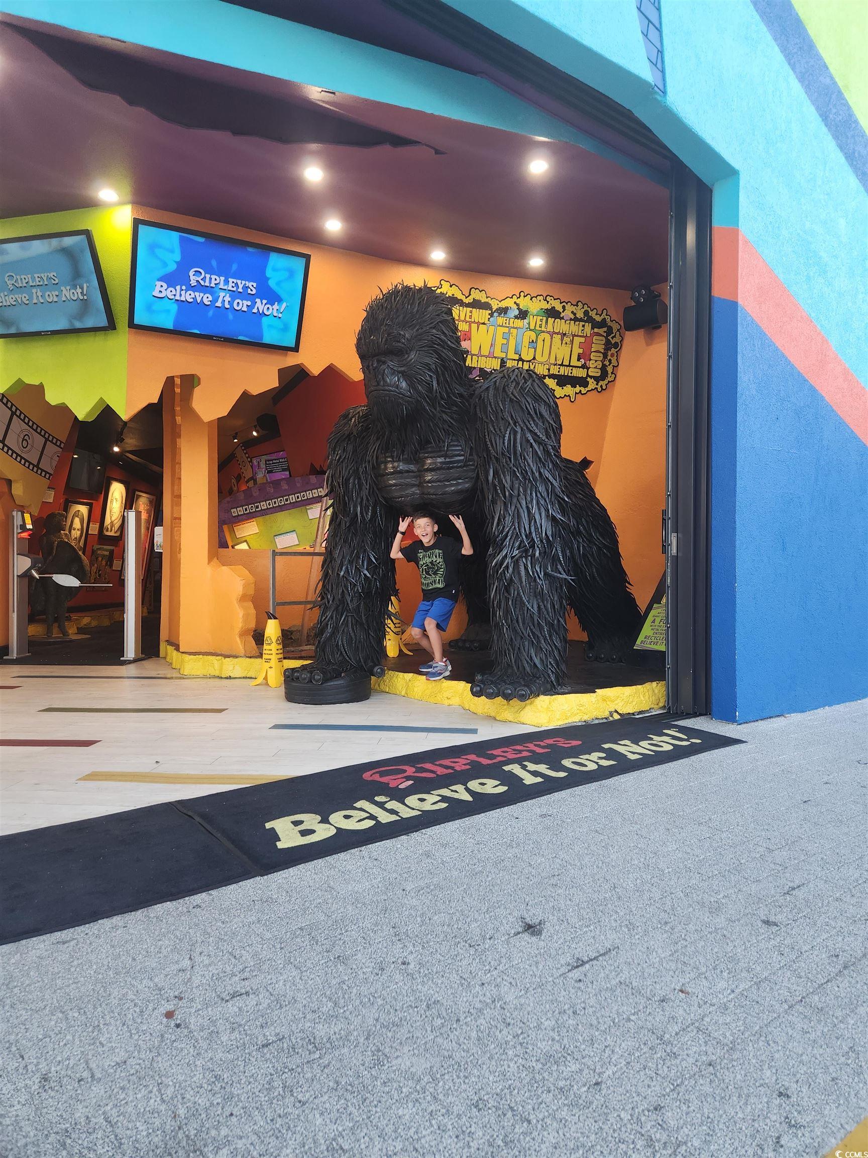 301 North Waccamaw Drive, Unit 211 Murrells Inlet, SC 29576 - Photo 33 of 37 Detailed view