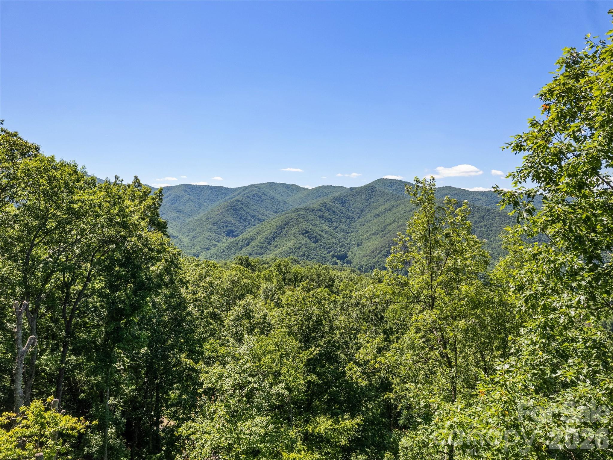 1392 Mt Chalet Road Canton, NC 28716 - Photo 6 of 34