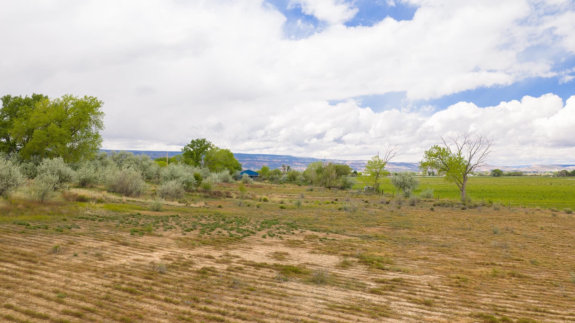 1212 22 Road Grand Junction, CO 81505 - Photo 32 of 34