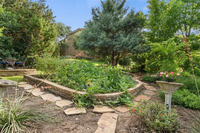 a view of a yard with plants and large trees