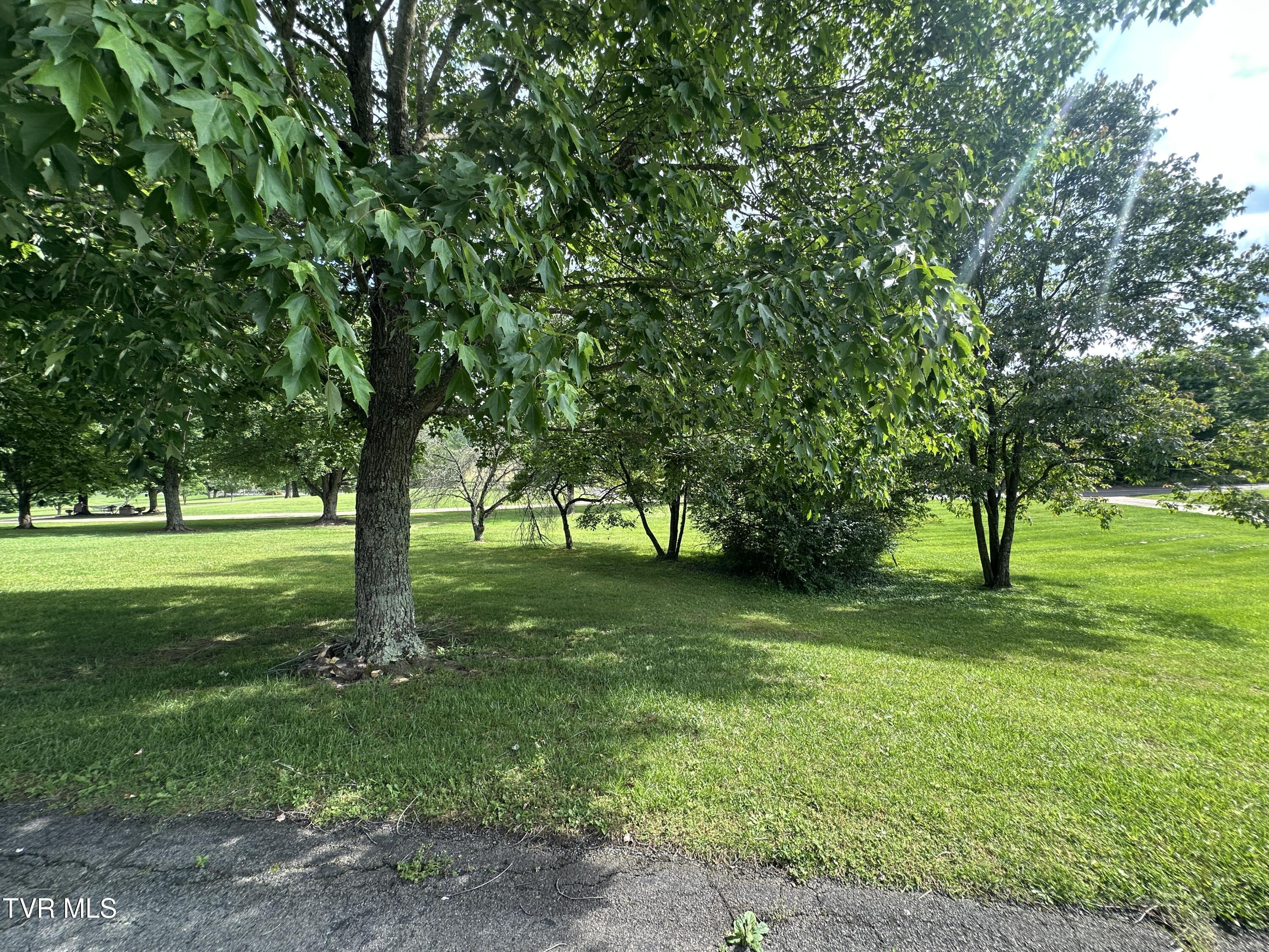 1726 Old Tusculum Road Greeneville, TN 37745 - Photo 31 of 38 IMG_4695
