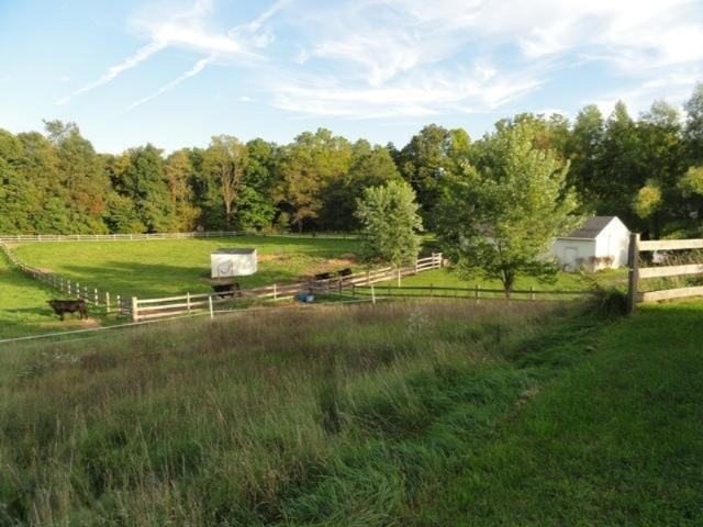 6678 Gould Road Saranac, MI 48881 - Photo 13 of 14 gould land