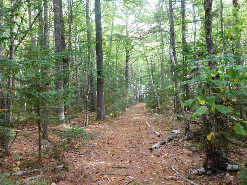 349 East River Road Pembroke, ME 04666 - Photo 7 of 35 Photo