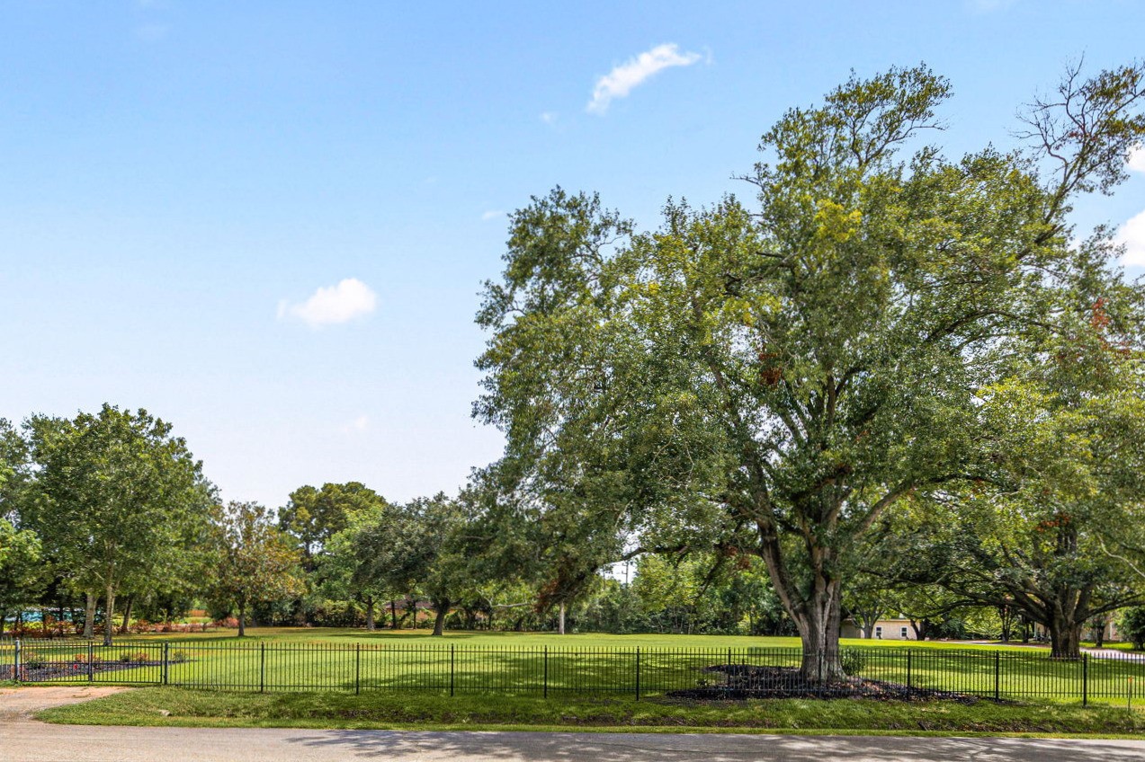 A straight-on view of 6035 Franz Court highlights the cleared 1.010-acre homesite, mature oak trees, and iron fencing along the frontage—a rare amount of open space in Katy.
