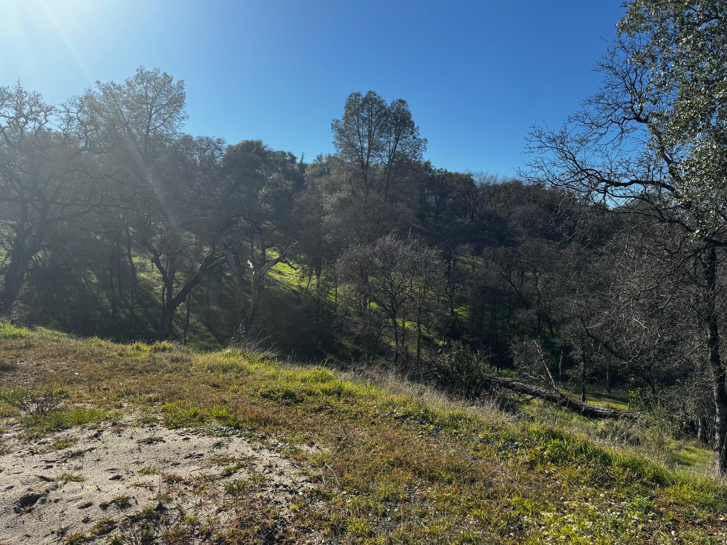 15806 Perimeter Road Grass Valley, CA 95949 - Photo 11 of 32 right below the burn pile is where the well is located