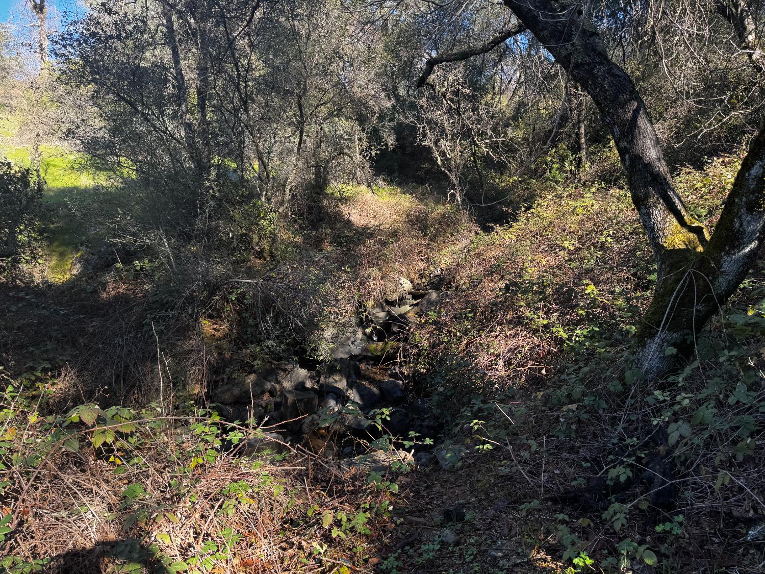 15806 Perimeter Road Grass Valley, CA 95949 - Photo 26 of 32