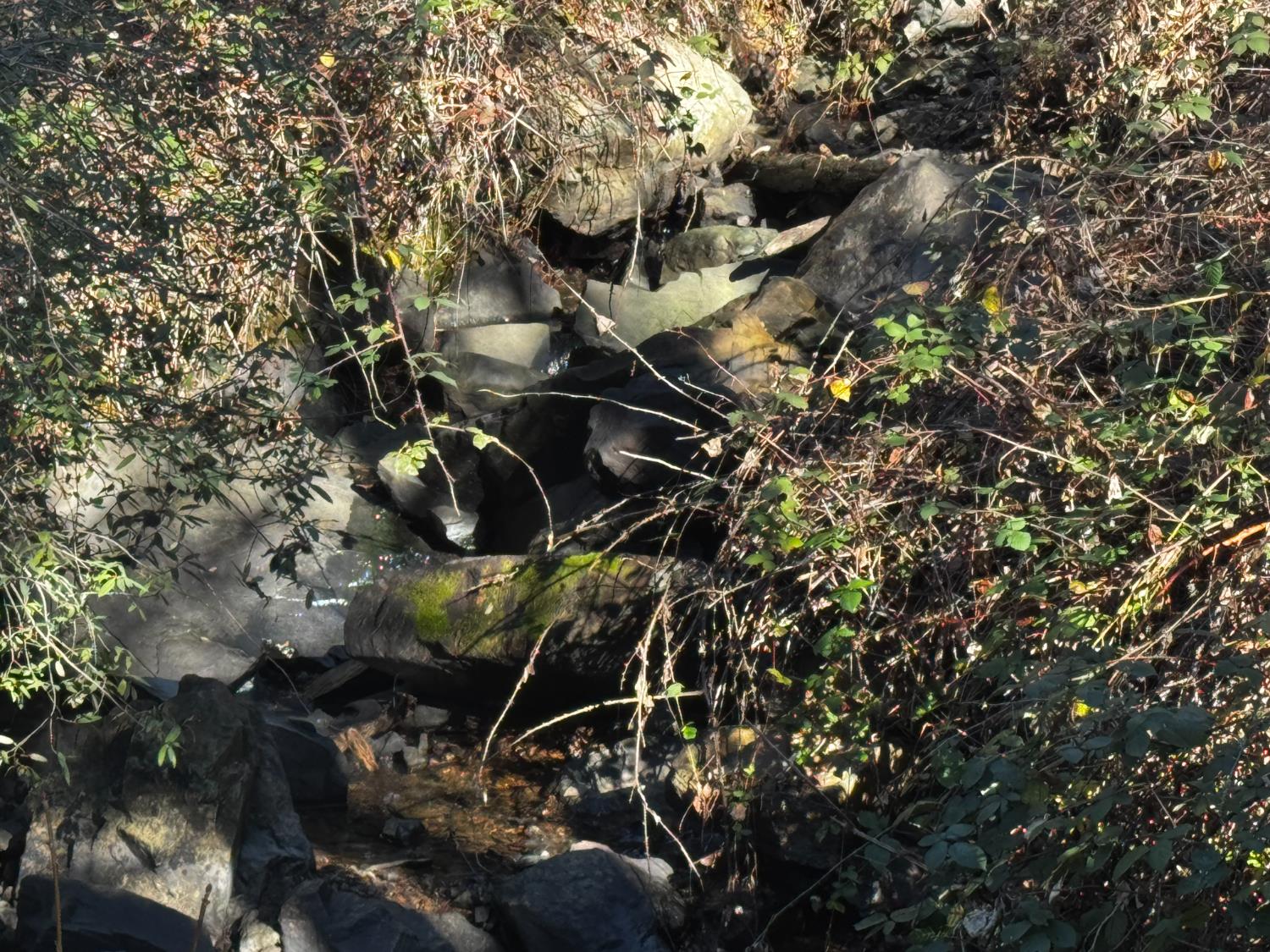 15806 Perimeter Road Grass Valley, CA 95949 - Photo 27 of 32