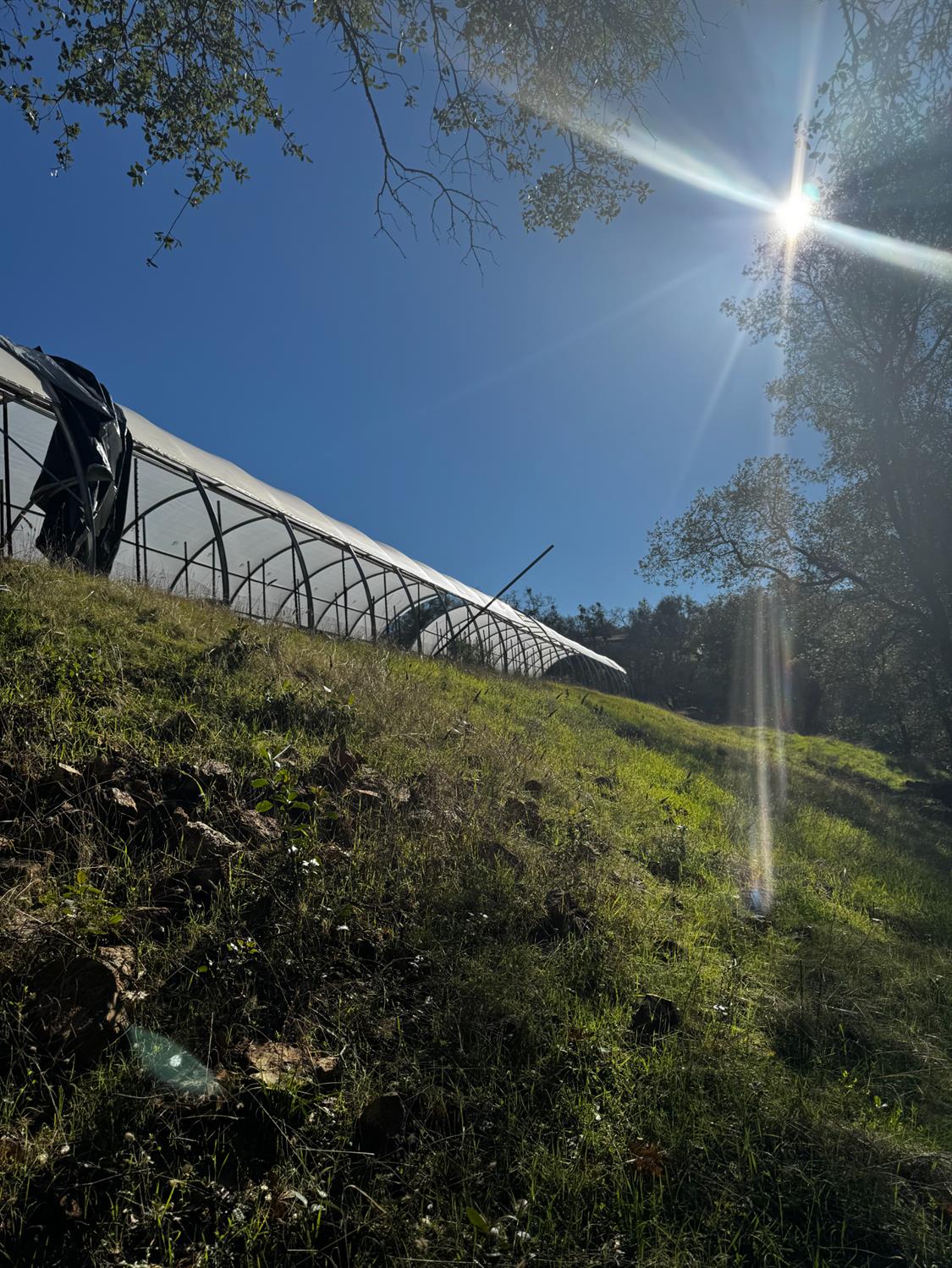 15806 Perimeter Road Grass Valley, CA 95949 - Photo 3 of 32