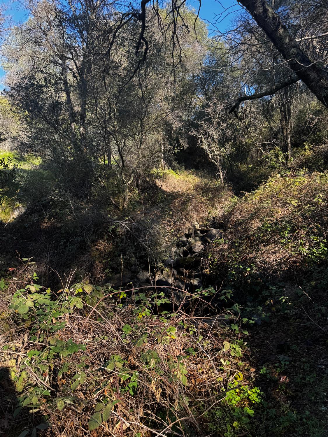 15806 Perimeter Road Grass Valley, CA 95949 - Photo 31 of 32