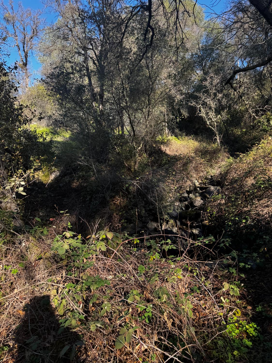 15806 Perimeter Road Grass Valley, CA 95949 - Photo 32 of 32