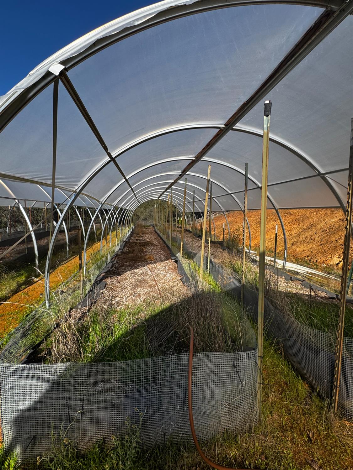 15806 Perimeter Road Grass Valley, CA 95949 - Photo 6 of 32