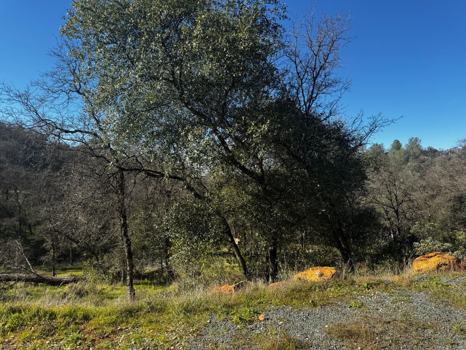 15806 Perimeter Road Grass Valley, CA 95949 - Photo 10 of 32