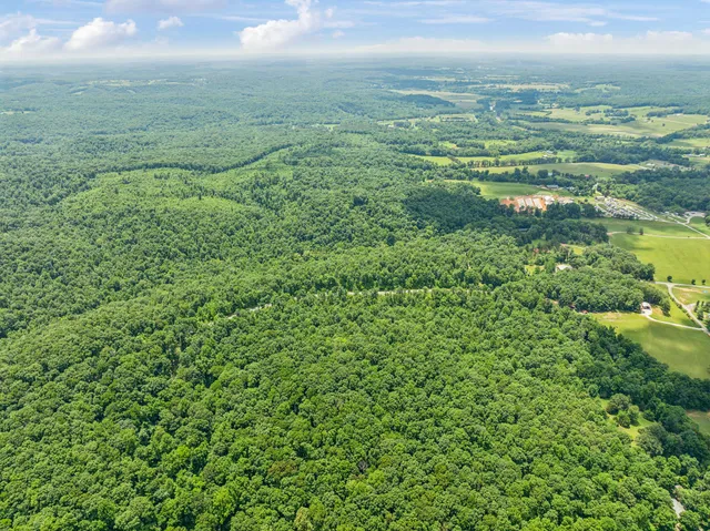 a view of an ocean and beach