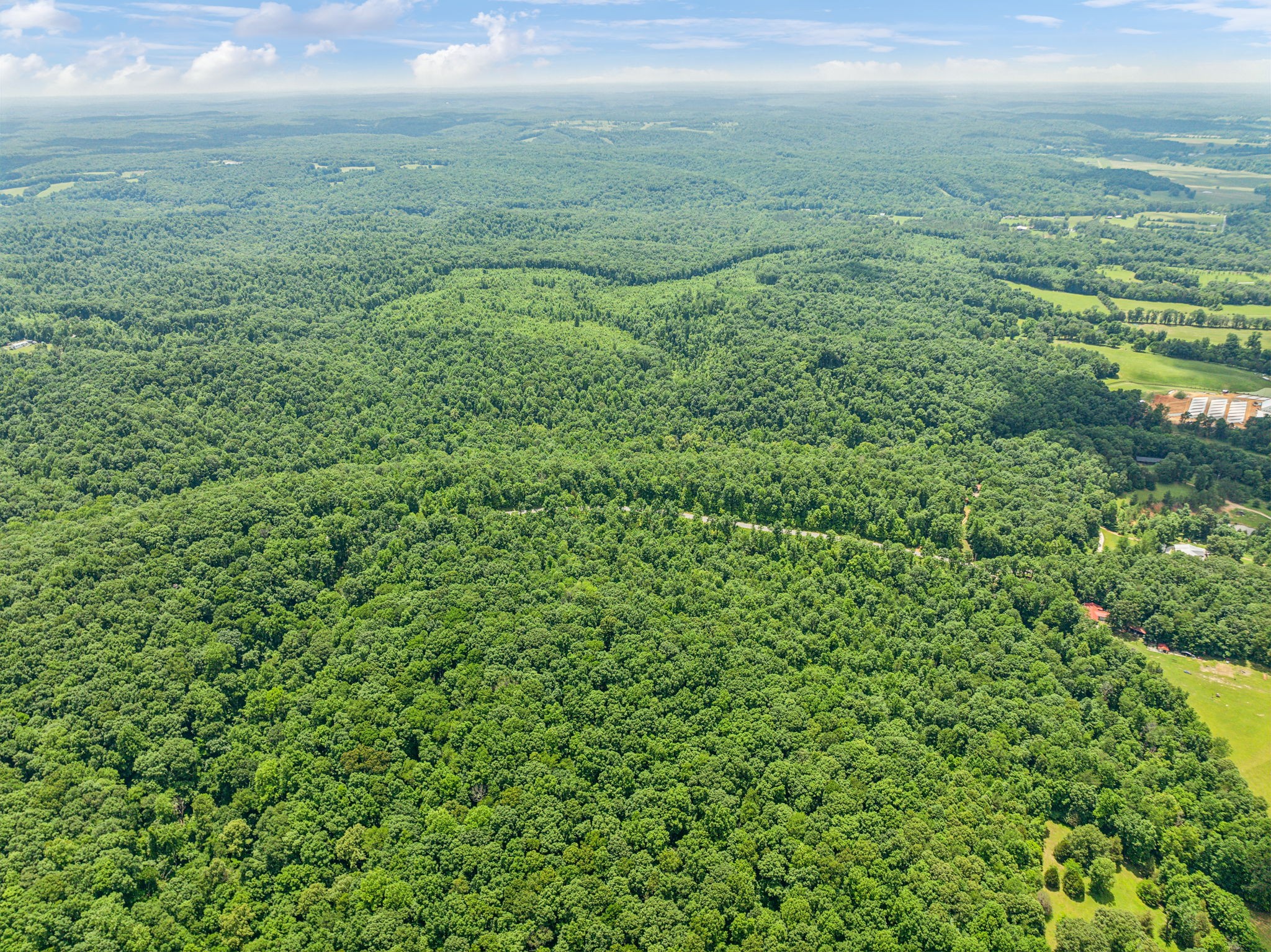 0 Piney River Road Bon Aqua, TN 37025 - Photo 13 of 19 a view of a green field with lots of bushes
