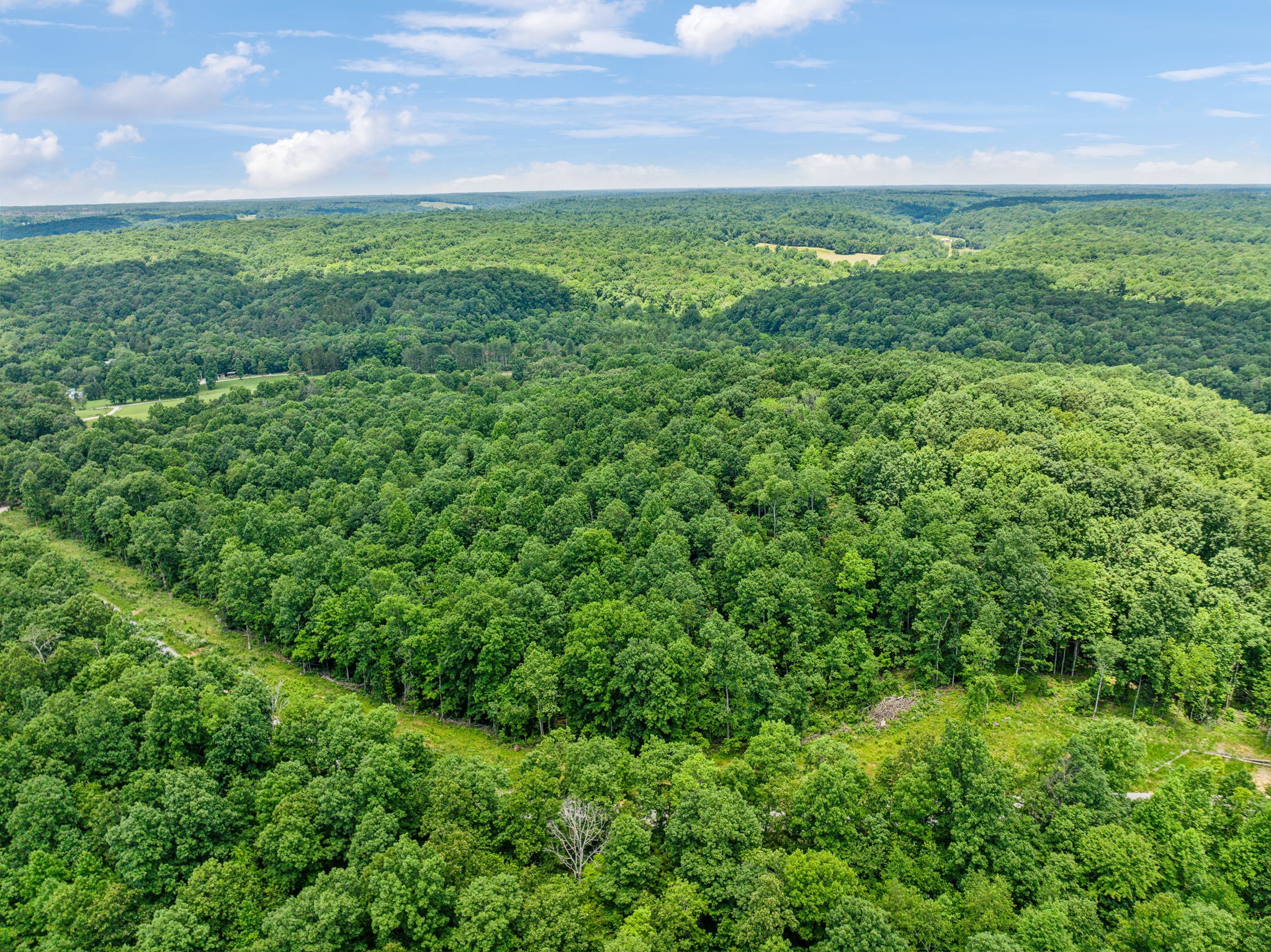 0 Piney River Road Bon Aqua, TN 37025 - Photo 14 of 19 a view of a big yard with lots of green space