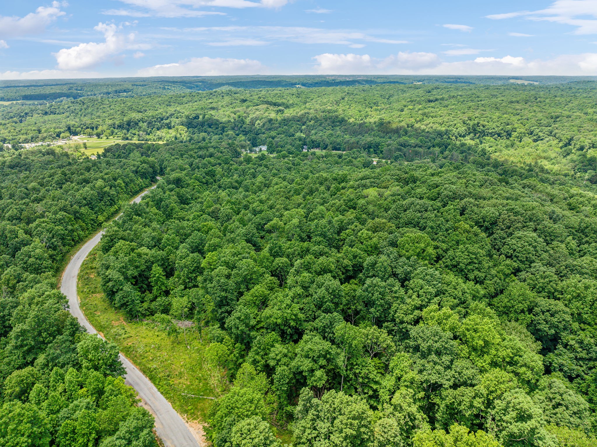 0 Piney River Road Bon Aqua, TN 37025 - Photo 15 of 19 a view of a yard with an outdoor space