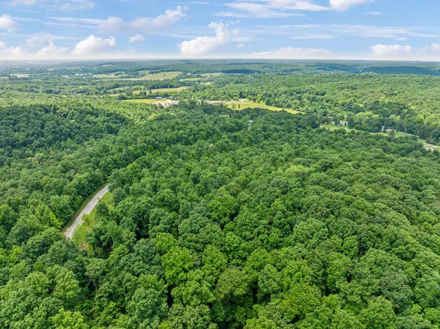 a view of a green field with lots of bushes