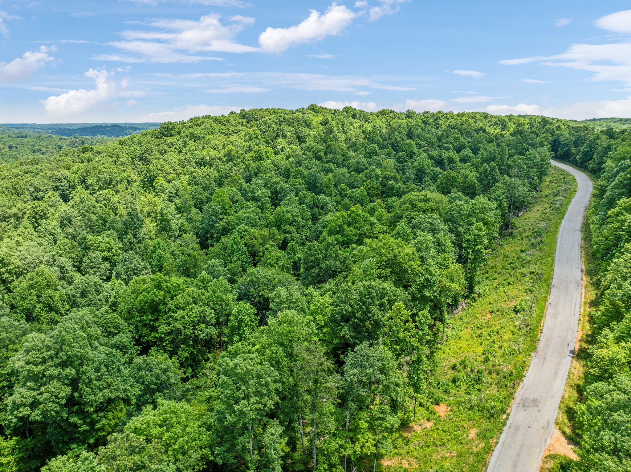 0 Piney River Road Bon Aqua, TN 37025 - Photo 17 of 19 a view of a garden