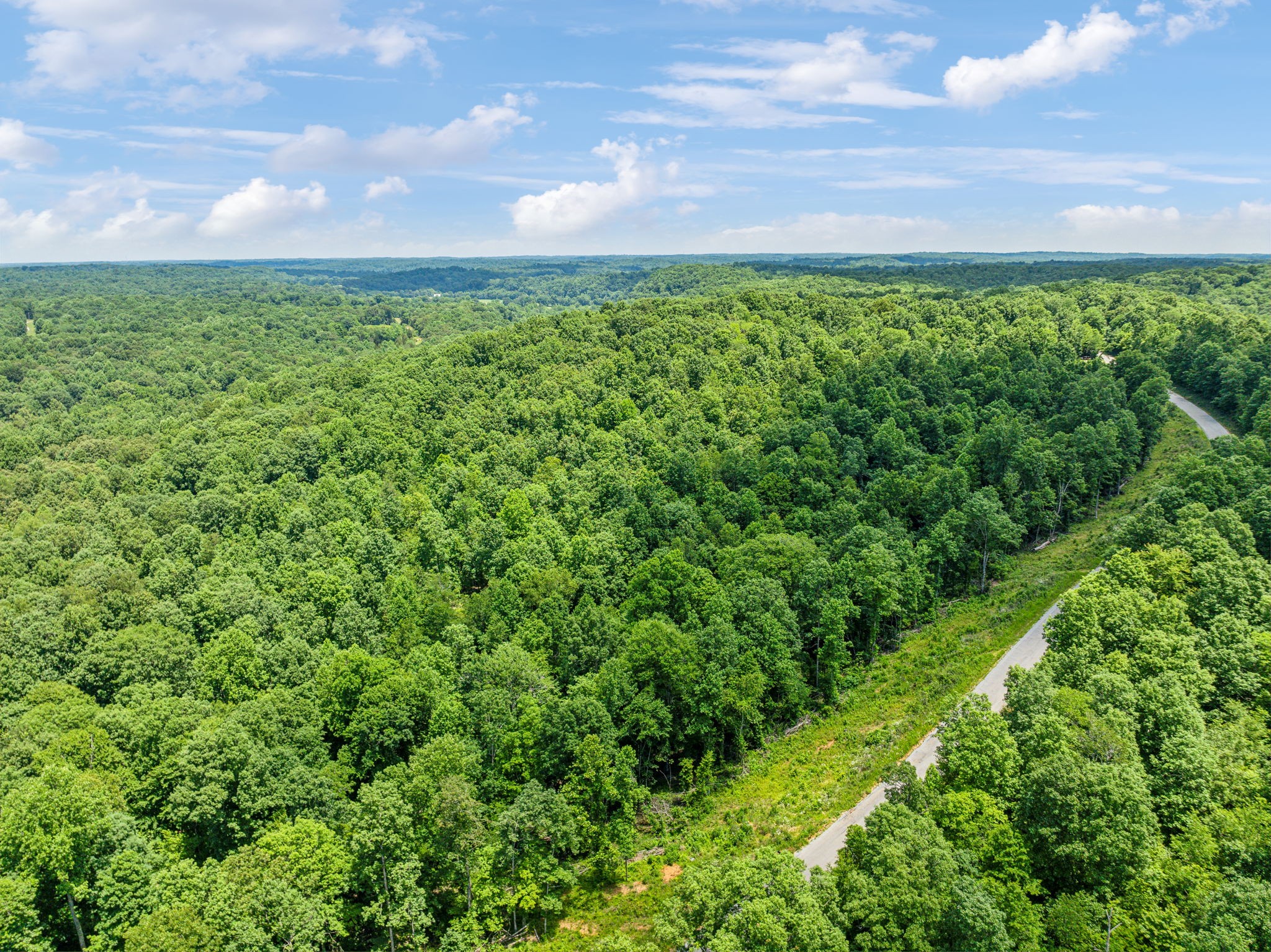 0 Piney River Road Bon Aqua, TN 37025 - Photo 18 of 19 a view of a yard