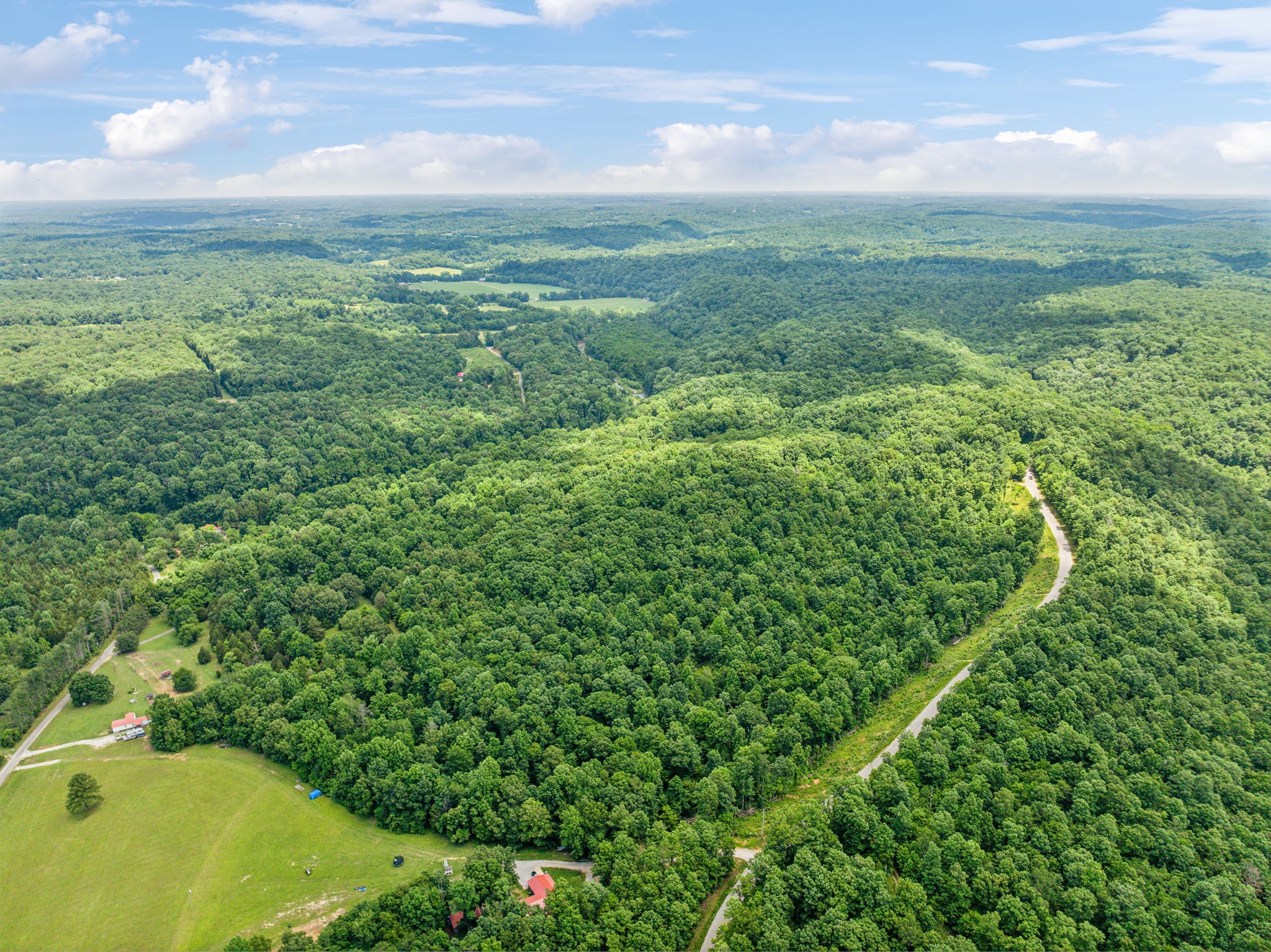 0 Piney River Road Bon Aqua, TN 37025 - Photo 4 of 19 a view of a green field with lots of bushes