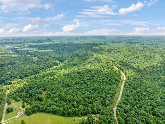 a view of a green field with lots of bushes