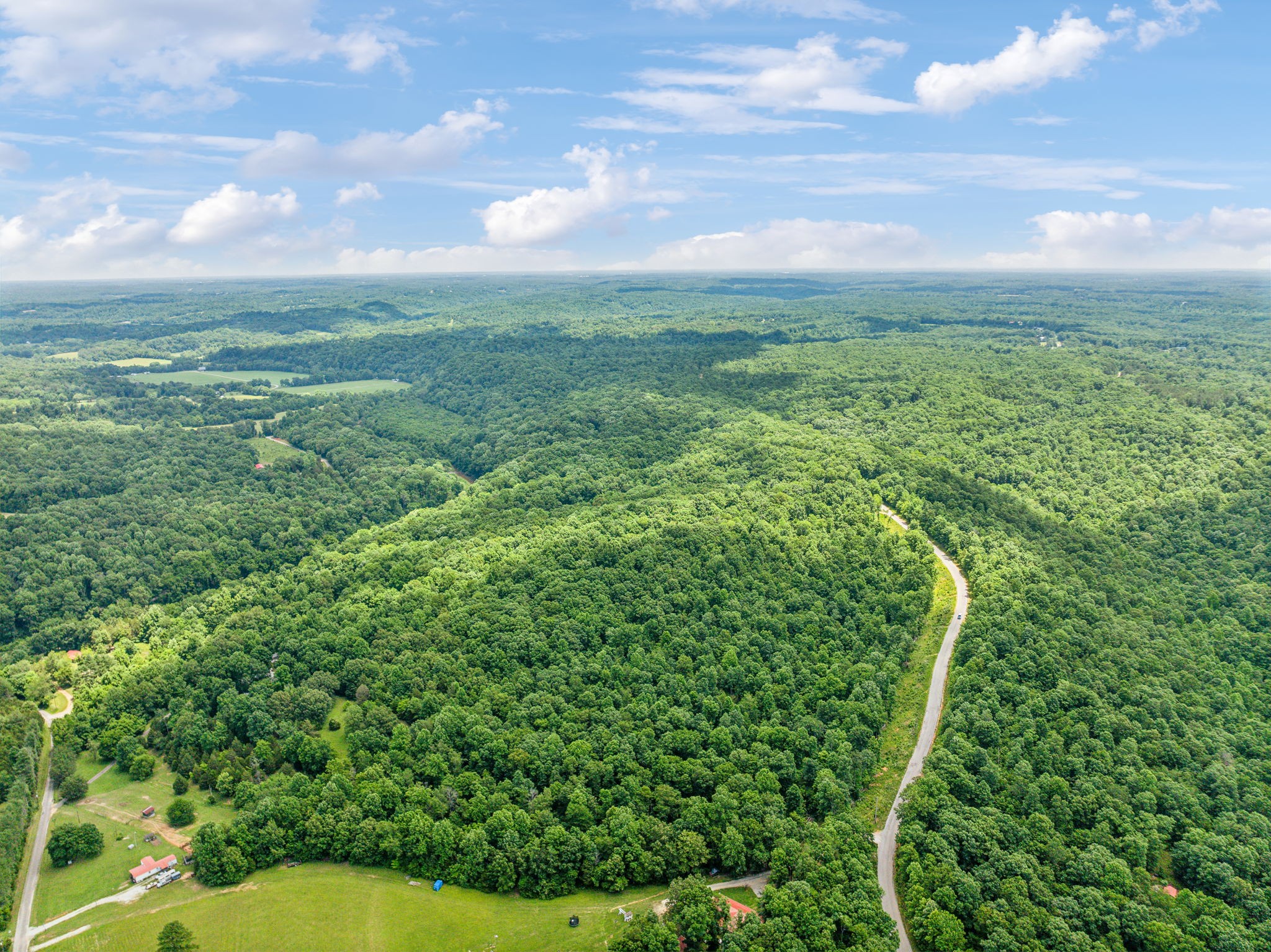 0 Piney River Road Bon Aqua, TN 37025 - Photo 5 of 19 a view of a green field with lots of bushes