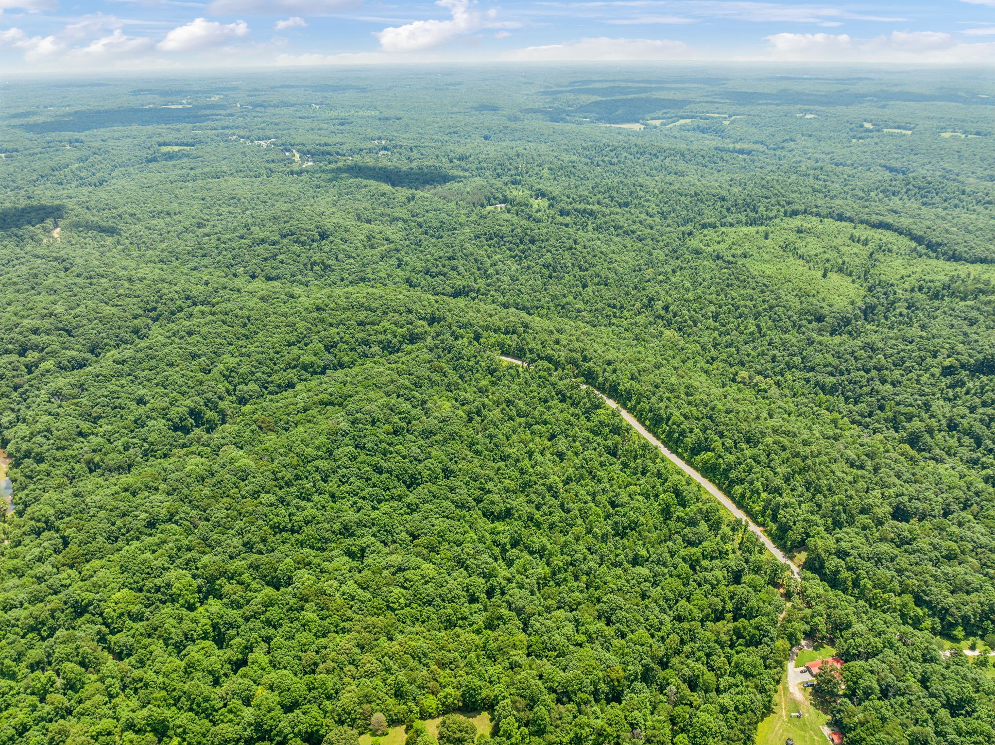 0 Piney River Road Bon Aqua, TN 37025 - Photo 6 of 19 a view of a green field with lots of bushes