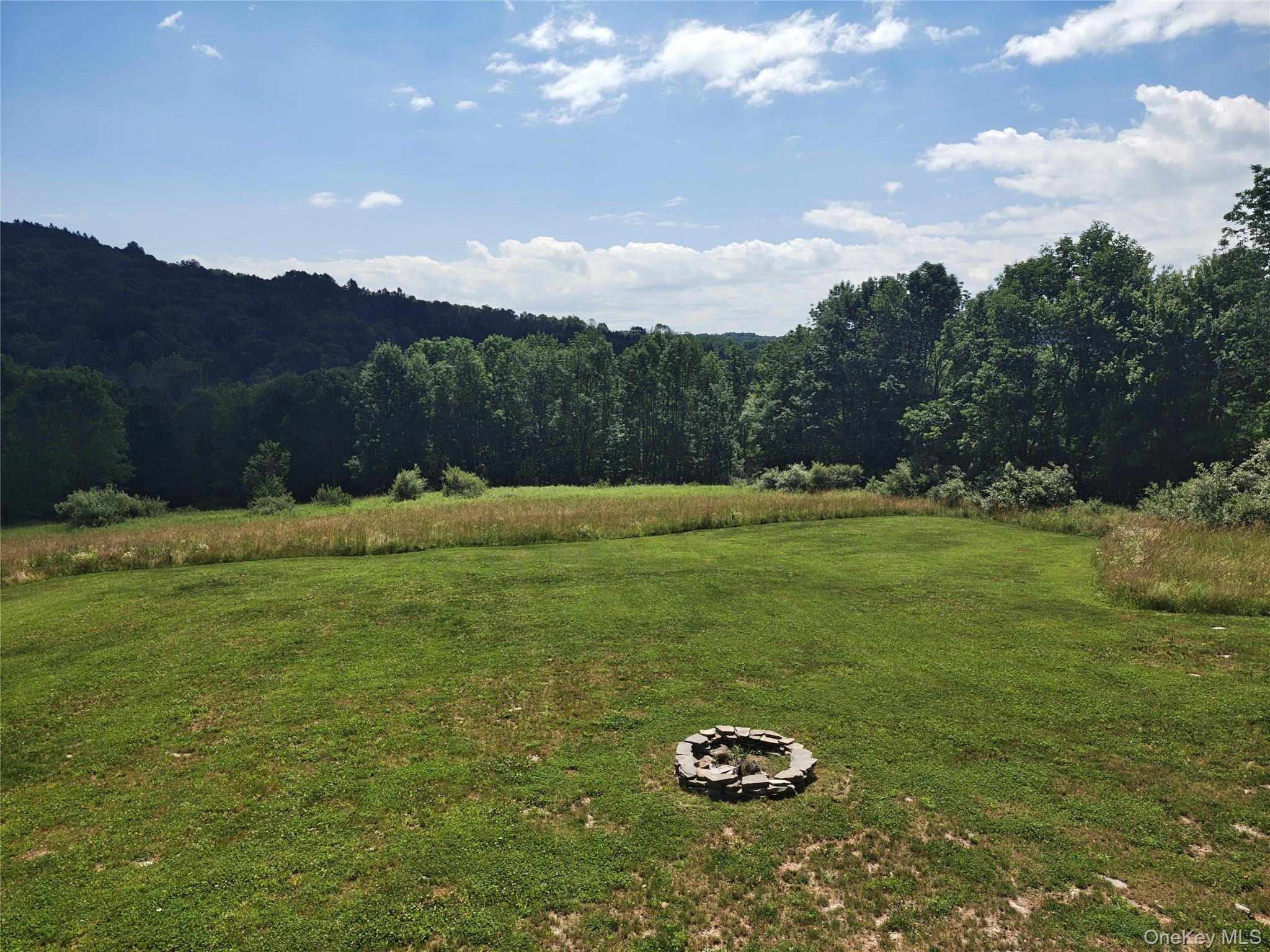 129 Nelson Road Hankins, NY 12741 - Photo 39 of 46
