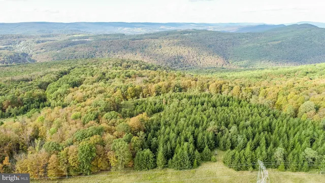 a house with trees in the background