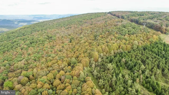 a view of outdoor space with trees all around