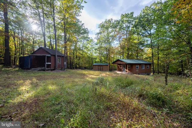 a view of a yard with a tree