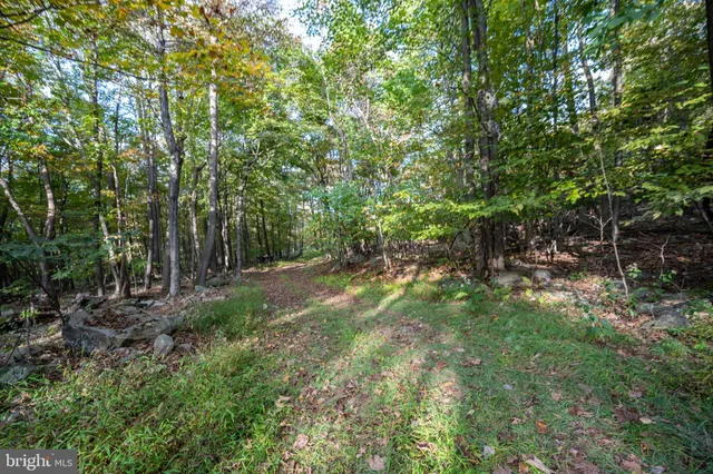 a view of a lake with a building in the background