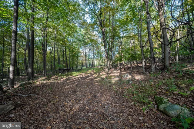 a view of outdoor space and green space