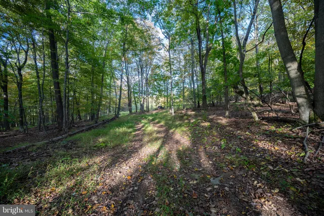 a view of outdoor space and trees