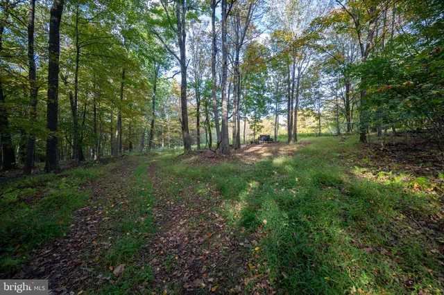 a view of outdoor space and trees