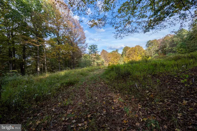 a backyard of a house with large trees and wooden fence