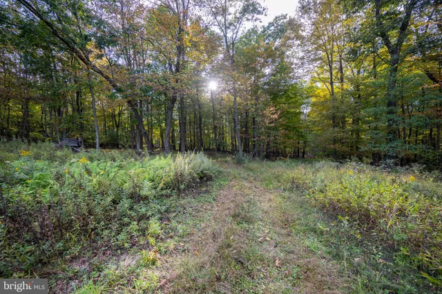a view of a house with a yard and large trees