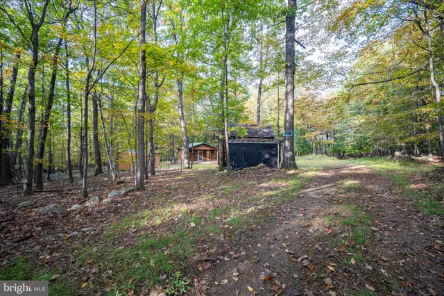 a view of an ocean from a yard