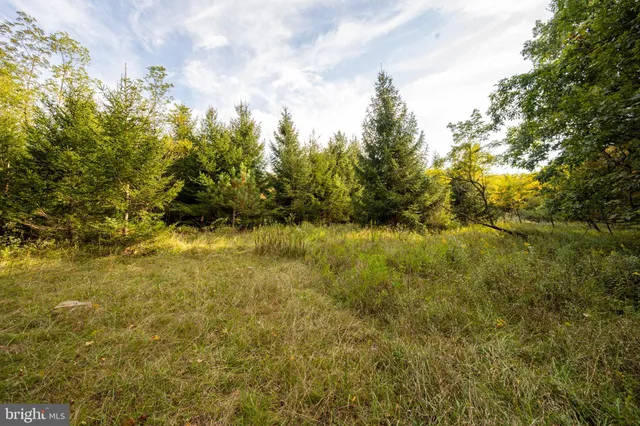 a view of beach and yard