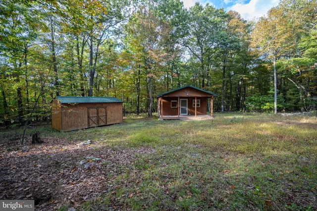 a view of a big yard with plants and wooden bench