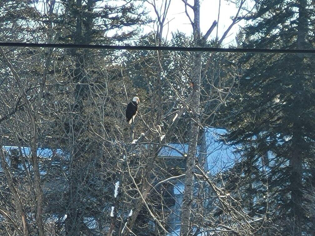 116 Center Street Van Buren, ME 04785 - Photo 36 of 39 1000011294