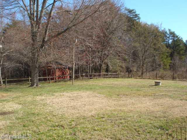 3048 Pleasant Ridge Road Summerfield, NC 27358 - Photo 10 of 11 Exterior Back.