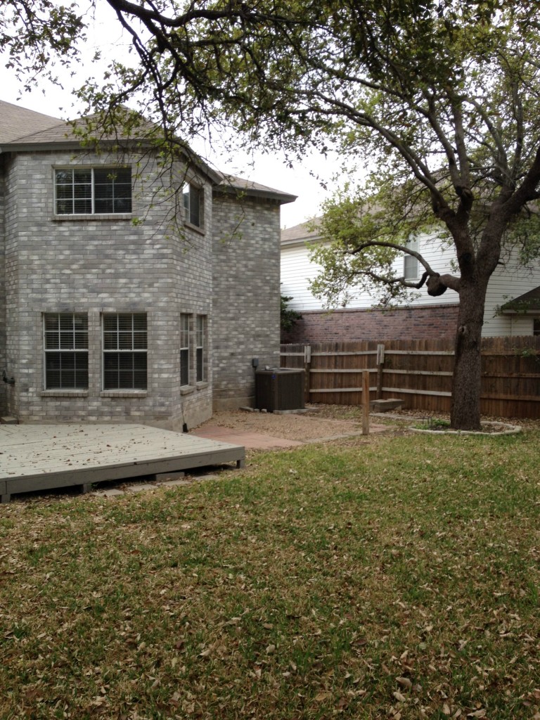 1803 Marysol Trail Cedar Park, TX 78613 - Photo 13 of 25