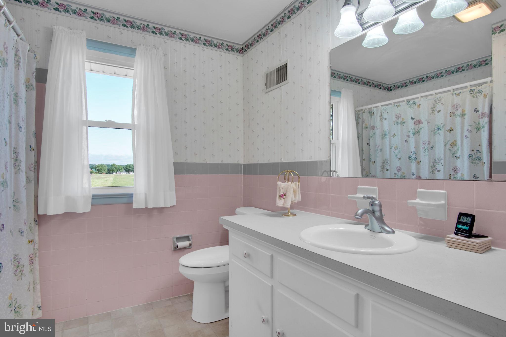 2382 Stoverstown Road Spring Grove, PA 17362 - Photo 24 of 33 Charming pastel bathroom with a view.