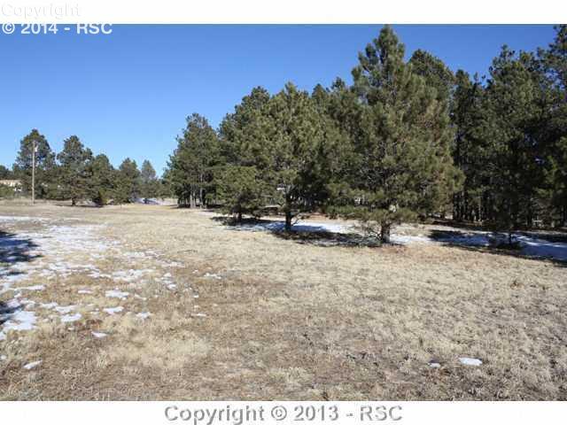 13120 Murphy Road Elbert, CO 80106 - Photo 10 of 10 Gallery Image 10